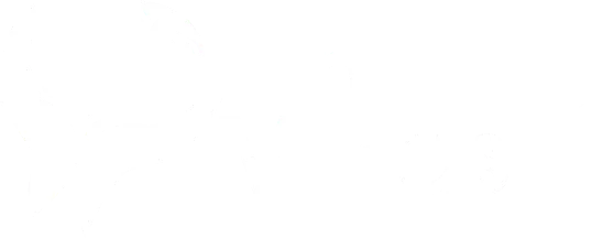 Unique Minds Behavioral Health Services logo